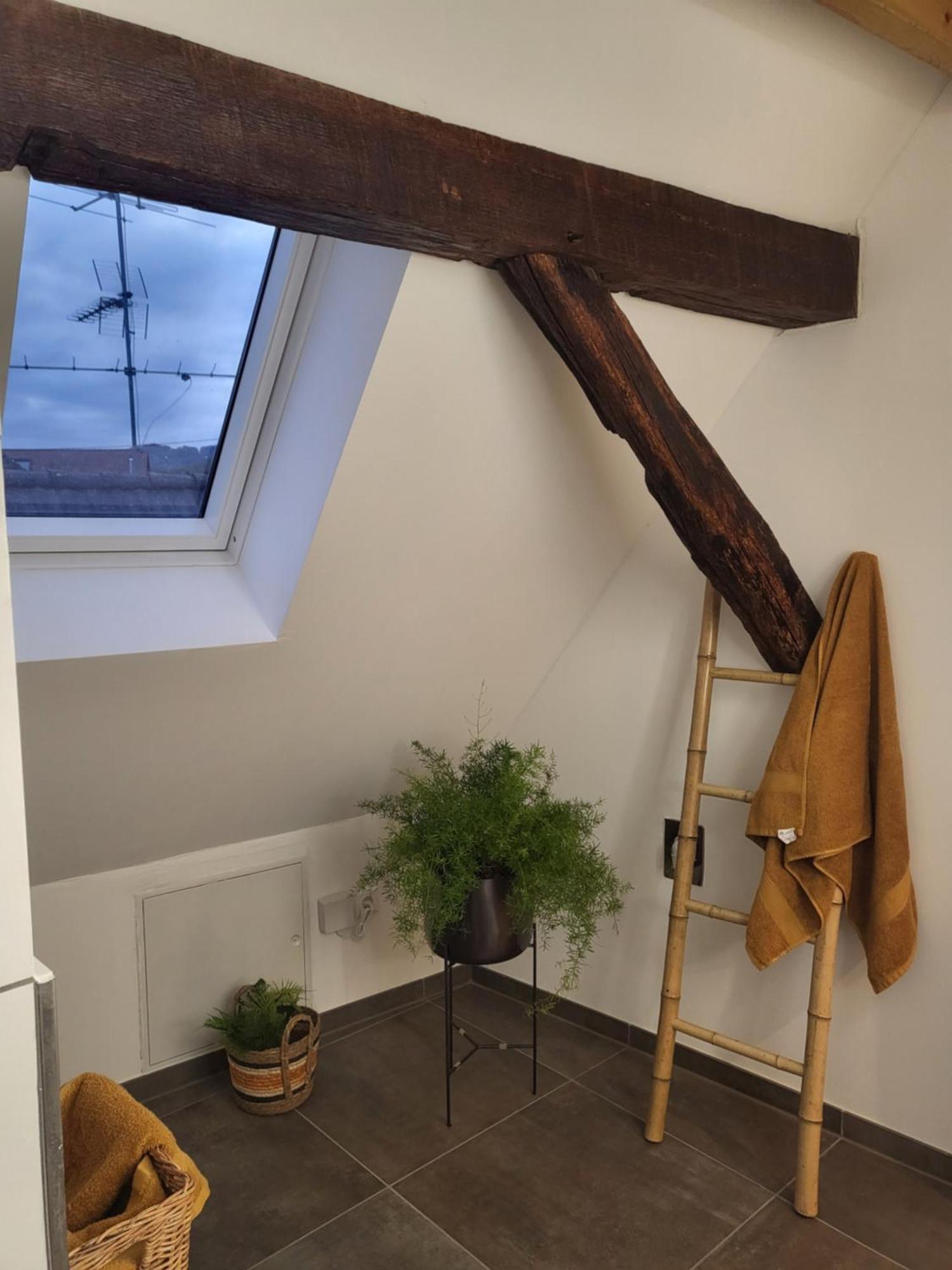 Ferienwohnung Im Rebstock Nr.1 Bahlingen  外观 照片